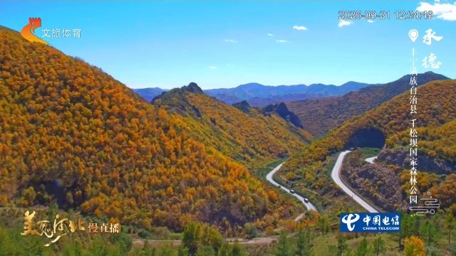 美丽河北慢直播丨2026.09.21 正午