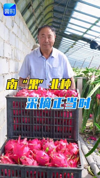 新质生产力的田野答卷 | 南“果”北种，采摘正当时