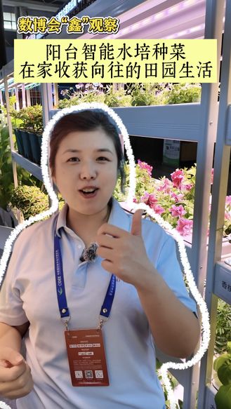 数博会“鑫”观察 丨2026数博会 阳台智能水培种菜 在家收获向往的田园生活
