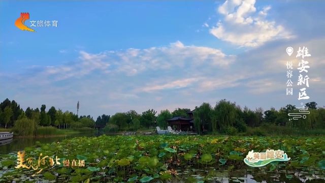美丽河北慢直播丨2026.09.24 清晨