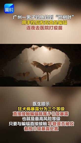 广州一男子钓鱼钓到“烂树叶” 用手捏后发现竟是蝙蝠 连夜去医院打疫苗