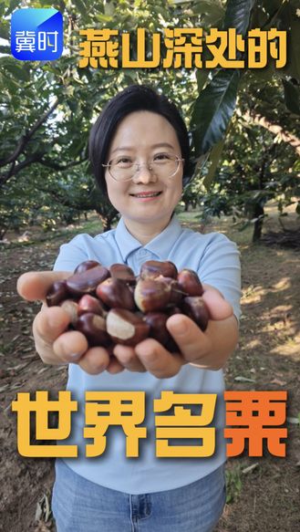 新质生产力的田野答卷 | 燕山深处的世界名栗