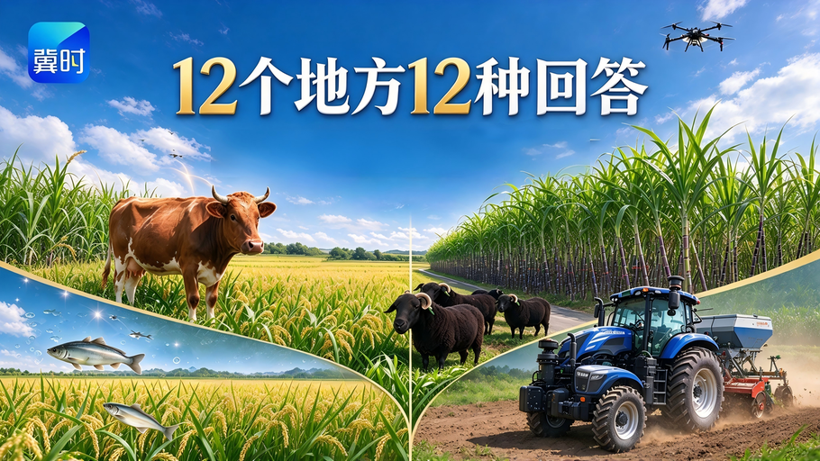 新质生产力的田野答卷 | 12个地方，12种回答