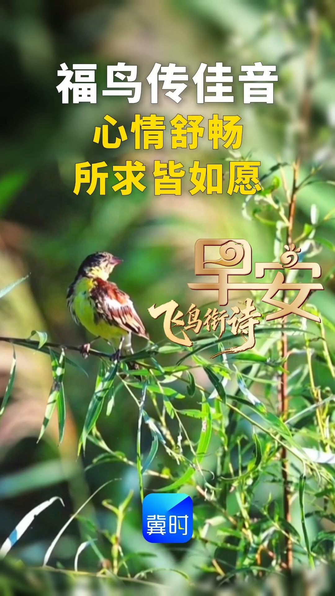早安丨福鸟传佳音 喜迎国庆到