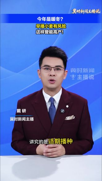 【冀时新闻主播说】今年早播小麦有风险，这样管能高产！