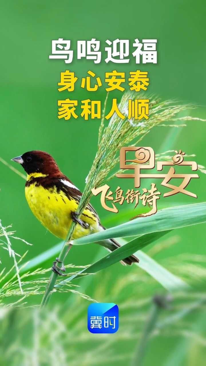 早安丨身心安泰，家和人顺