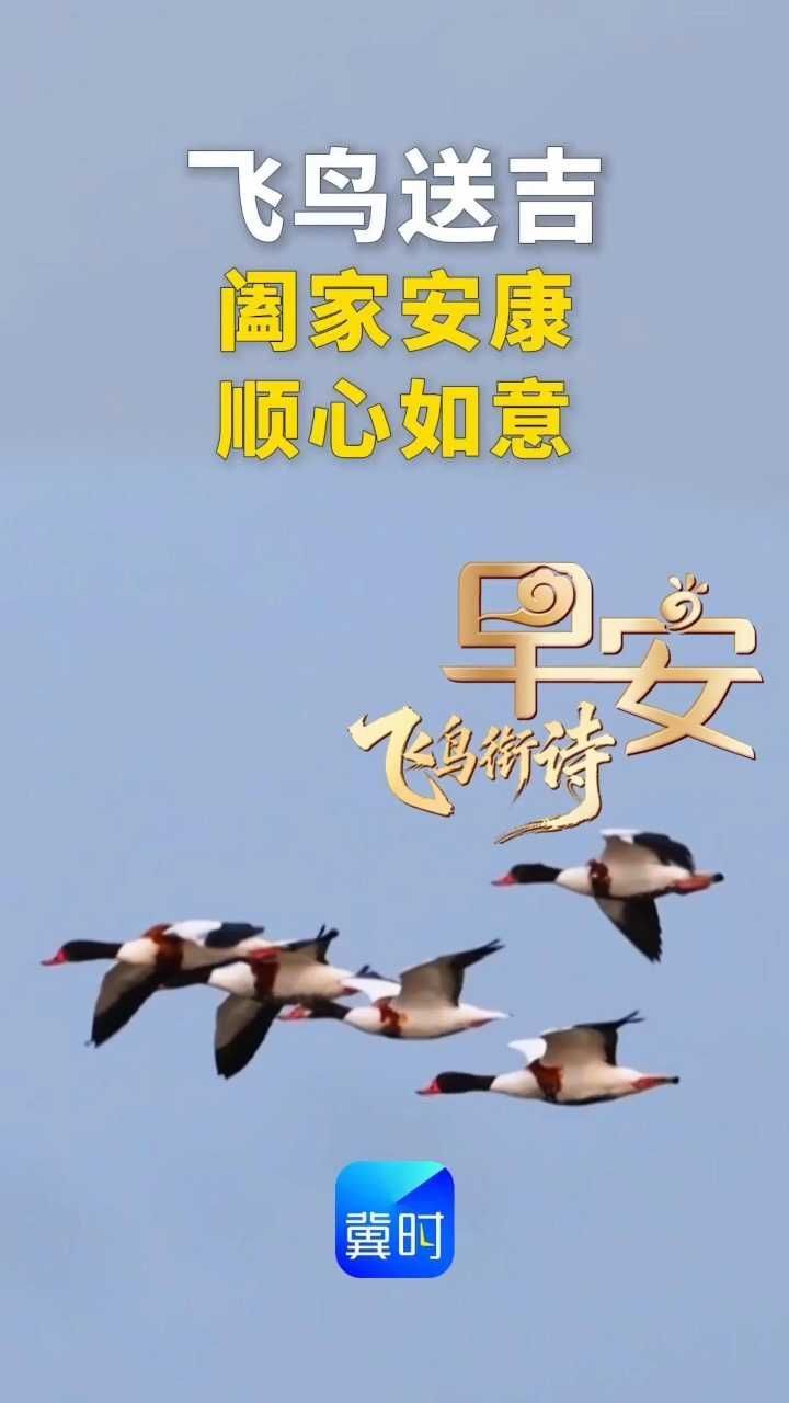 早安丨阖家安康，顺心如意