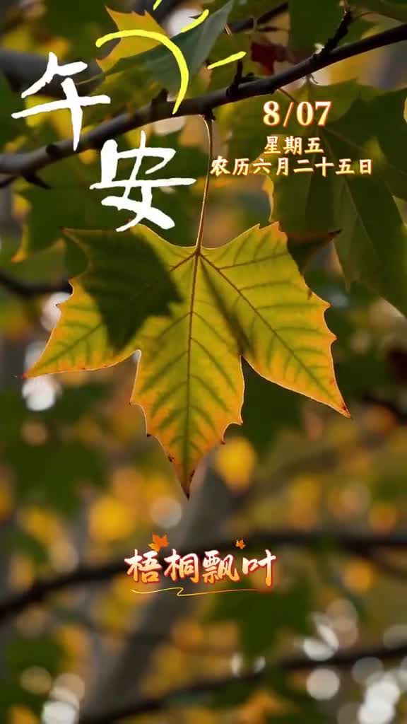 午安！立秋新至，梧桐飘叶，暑气渐消，晚风轻拂。一叶落而知天下秋，渐退盛夏热，愿君秋安顺遂。少食辛辣护牙龈，常饮温水润口柔。