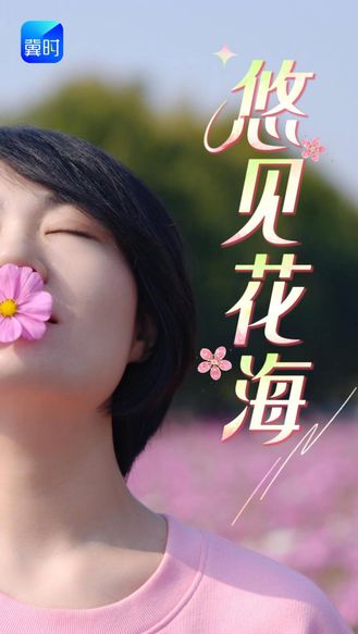 “悠”见花海｜在正定明曦湖解锁秋日浪漫