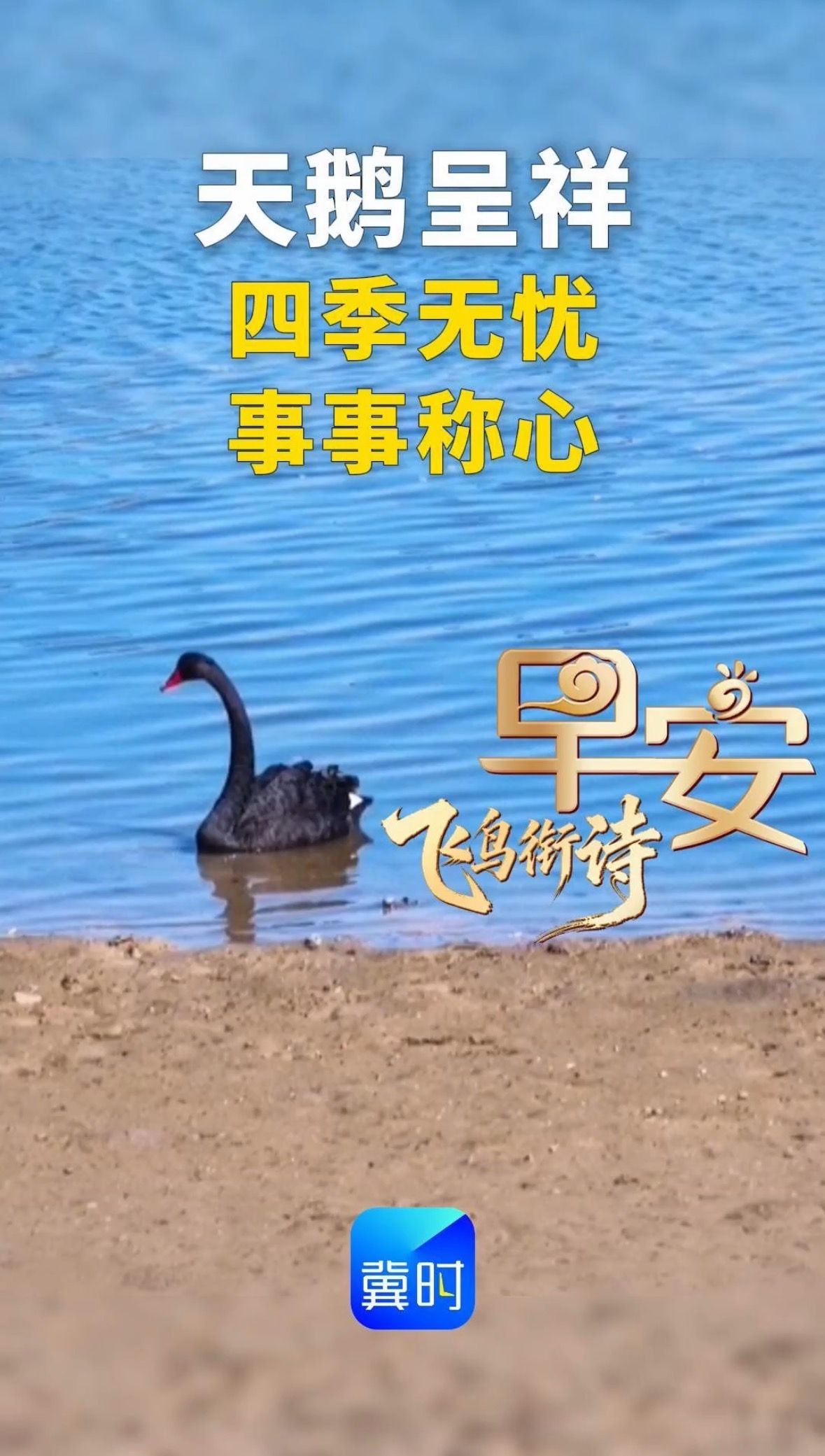 早安丨四季无忧 事事称心