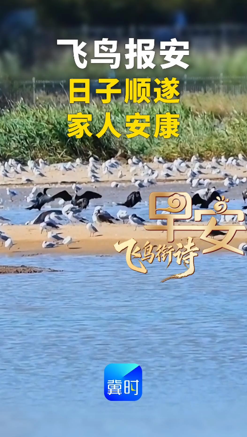早安丨愿你日子顺遂 家人安康