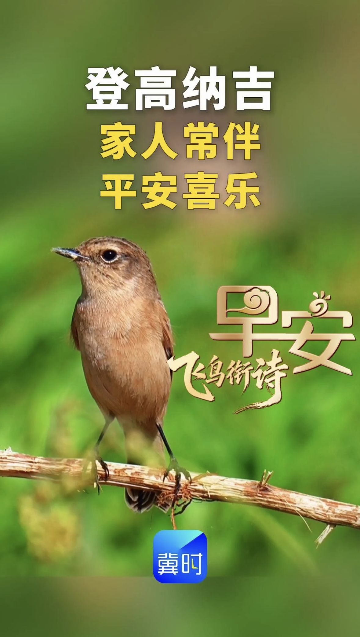 早安丨祝您家人常伴 平安喜乐