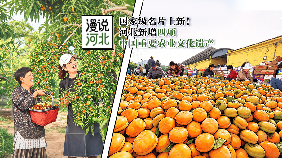 漫说河北丨国家级名片上新！河北新增四项中国重要农业文化遗产