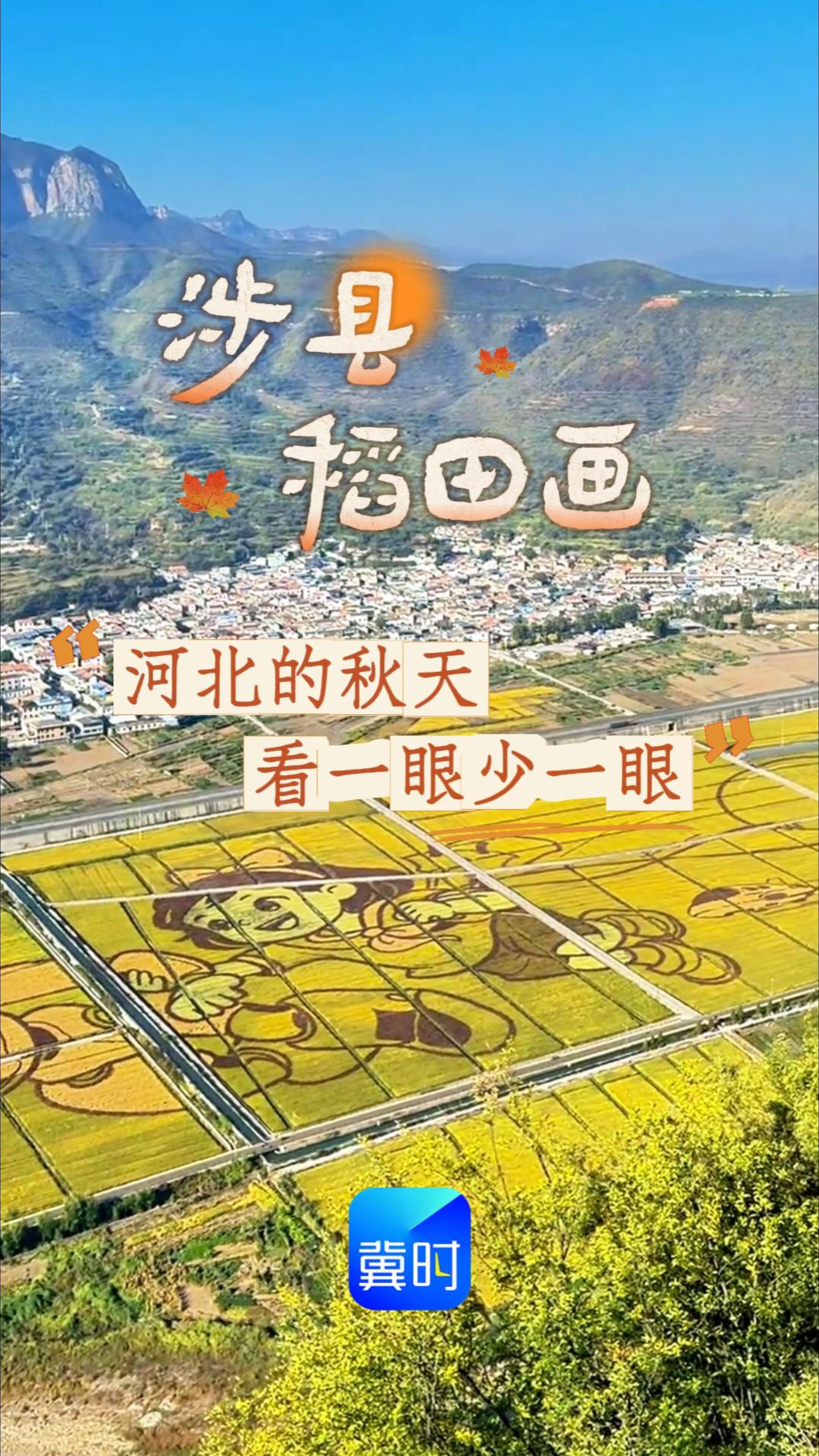 涉县稻田画，河北的秋天，看一眼少一眼 #秋游河北悦山河 #河北的秋天藏着多少惊喜 #燕赵秋意浓山河入画来