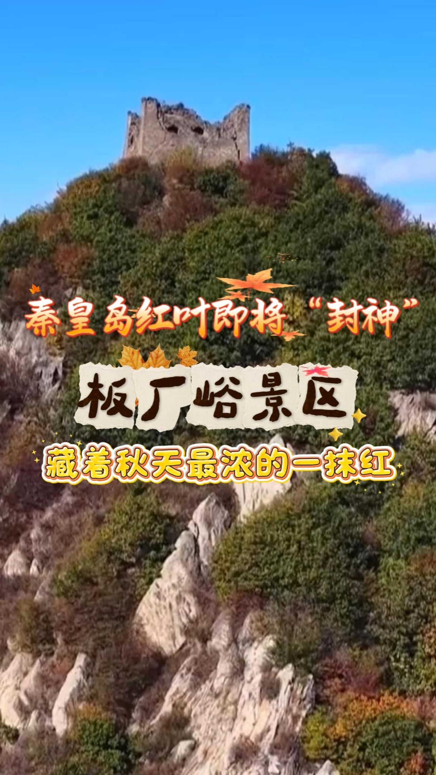 秦皇岛红叶即将“封神”，板厂峪景区，藏着秋天最浓的一抹红#秋游河北悦山河 #河北的秋天藏着多少惊喜 #燕赵秋意浓山河入画来