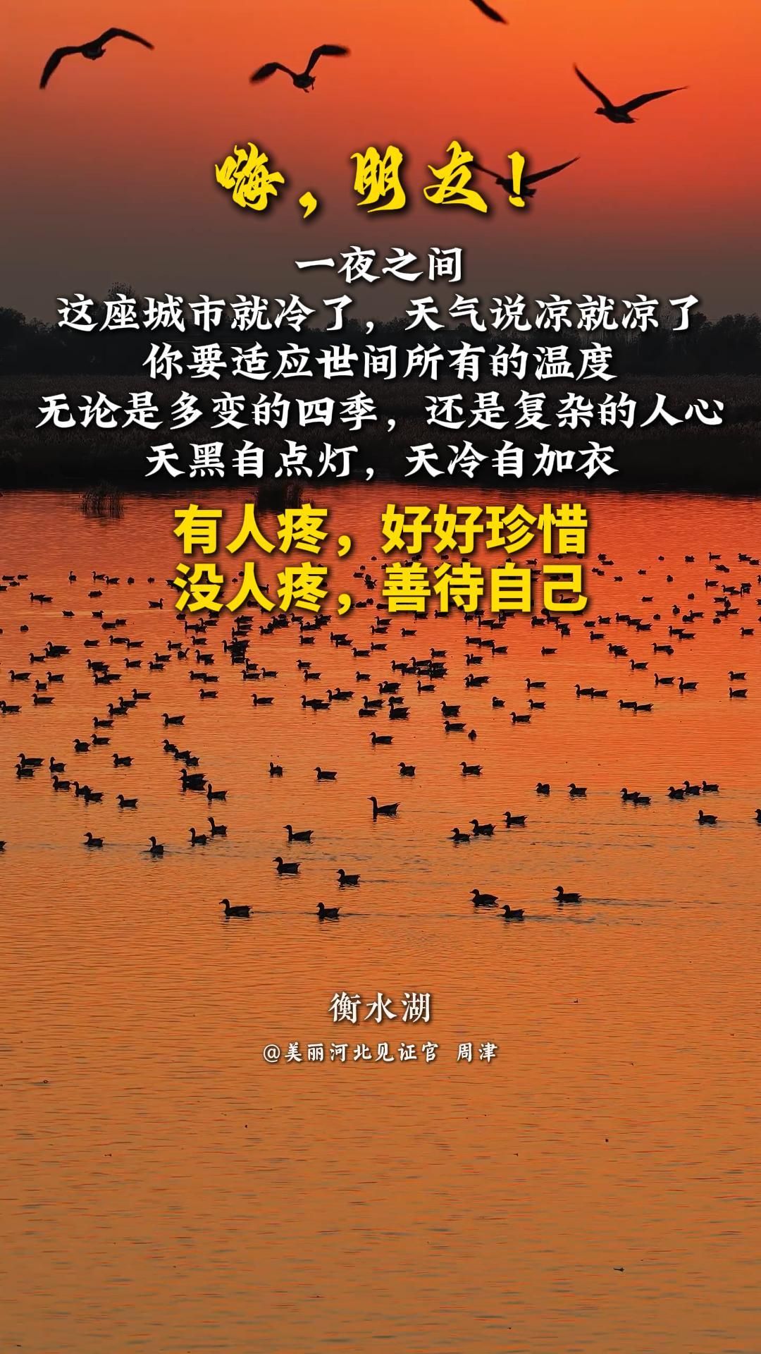 一夜之间，这座城市就冷了，天气说凉就凉了。你要适应世间所有的温度，无论是多变的四季，还是复杂的人心。天黑自点灯，天冷自加衣；有人疼，好好珍惜；没人疼，善待自己。#晚安#美丽河北#媒体原创