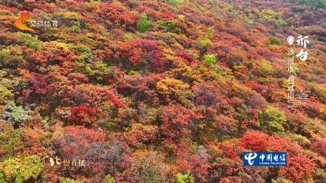 美丽河北慢直播丨2026.10.23 清晨