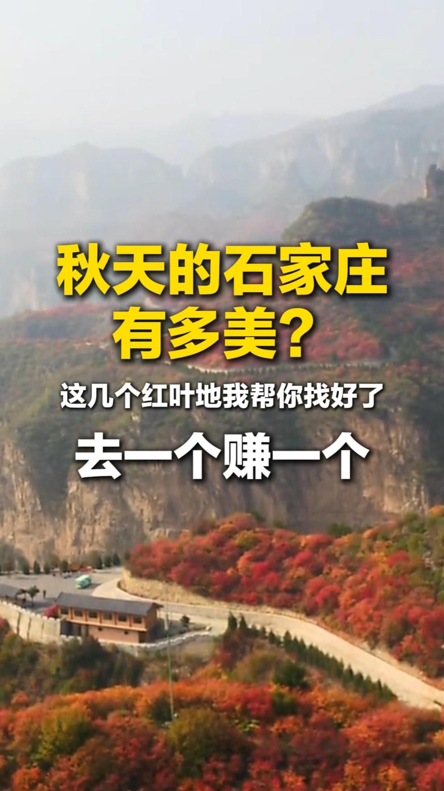 秋天的石家庄有多美？这几个红叶地我帮你找好了，去一个赚一个#秋游河北悦山河 #河北的秋天藏着多少惊喜 #燕赵秋意浓山河入画来