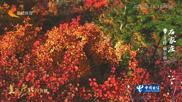 美丽河北慢直播丨2026.10.23 正午