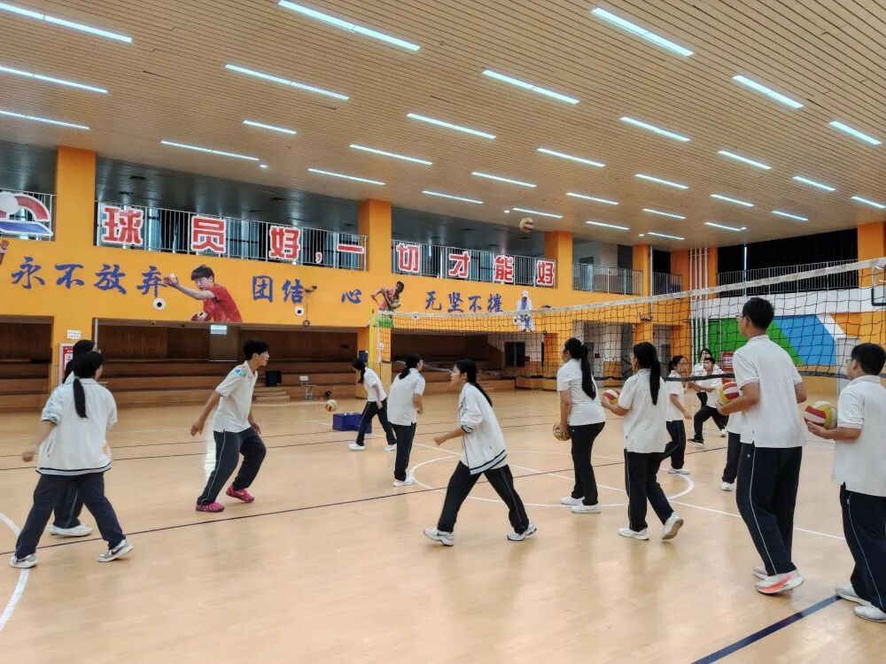 大看台一支“升级版”排球队何以点燃一座“奥运冠军之城”(图1)