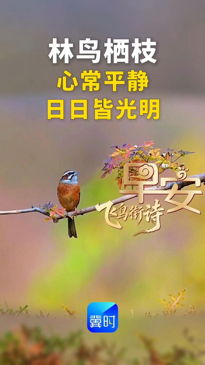 早安丨愿您心常平静 日日皆光明