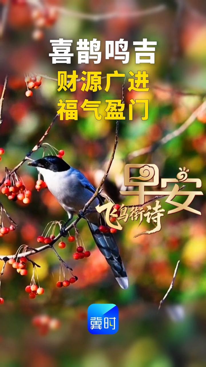 早安丨愿您财源广进 福气盈门
