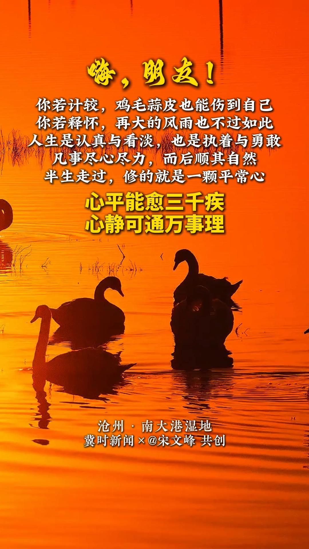 冀时共创 晚安心语丨你若计较，鸡毛蒜皮也能伤到自己；你若释怀，再大的风雨也不过如此。人生，是认真与看淡，也是执着与勇敢。凡事尽心尽力，而后顺其自然。半生走过，修的就是一颗平常心。心平能愈三千疾，心静可通万事理！#沧州南大港湿地#晚安#美丽河北#媒体原创#冀时共创晚安心语
