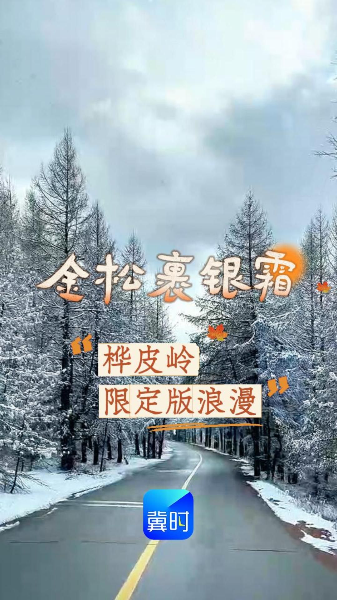 金松裹银霜，来桦皮岭，撞见秋与霜短暂相逢的浪漫。 #秋游河北悦山河 #燕赵秋意浓山河入画来  #秋染燕赵赴山河诗意之约