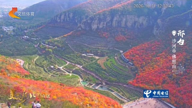 美丽河北慢直播丨2026.10.31 正午