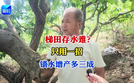 【专家在线】梯田存水难？只用一招，锁水增产多三成