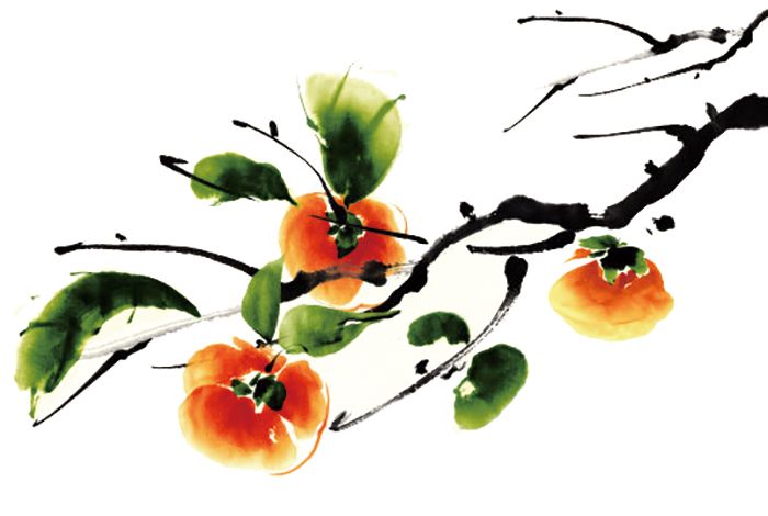 柿子树