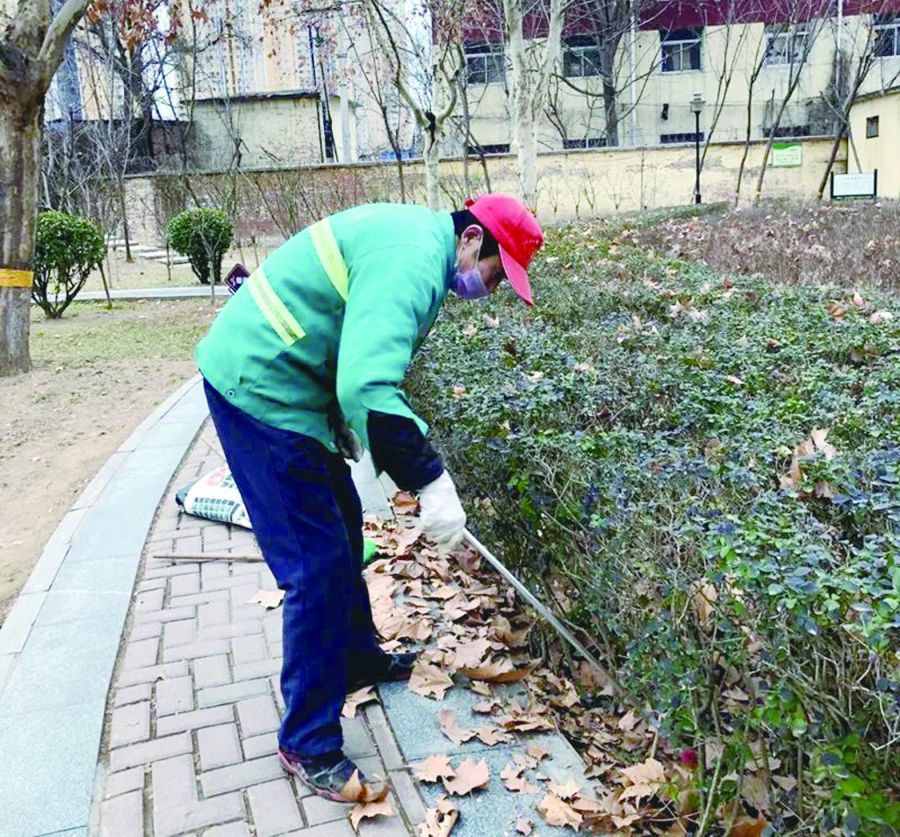 社区 抢抓春日好时光 打好公园管护基础