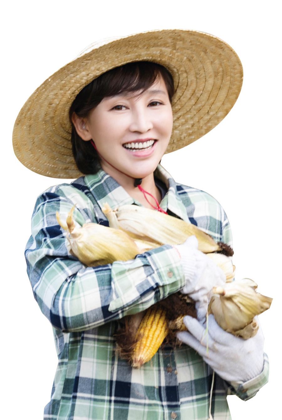 美丽乡村1