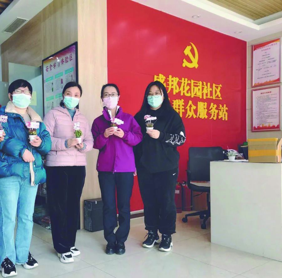 社区 盛邦花园社区