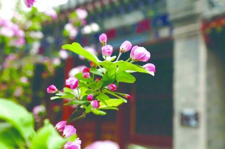 花3
