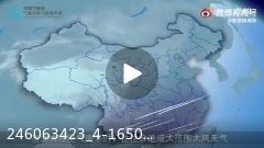 246063423_4-1650...