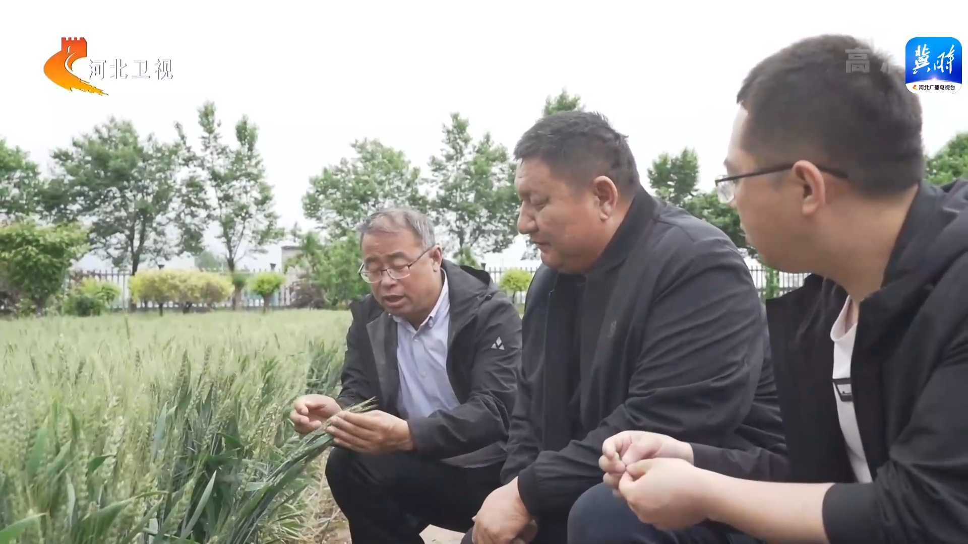 【奋进新征程 建功新时代】河北：学技术拿文凭 农民变身