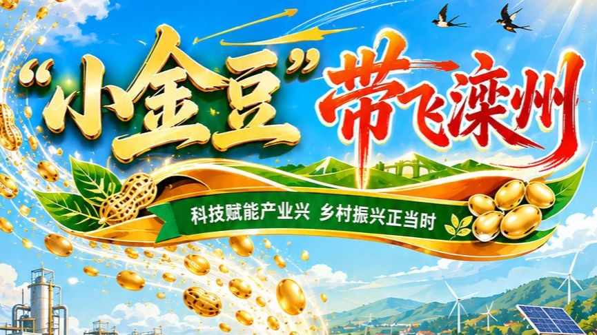 漫说 丨 “小金豆”带飞滦州