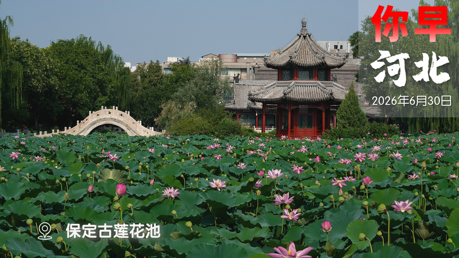 你早，河北｜大范围降水持续三天；“双一流”未来扩招十万人；剑指日本军工“大脑和躯干”；中国“避暑神器”凉欧洲