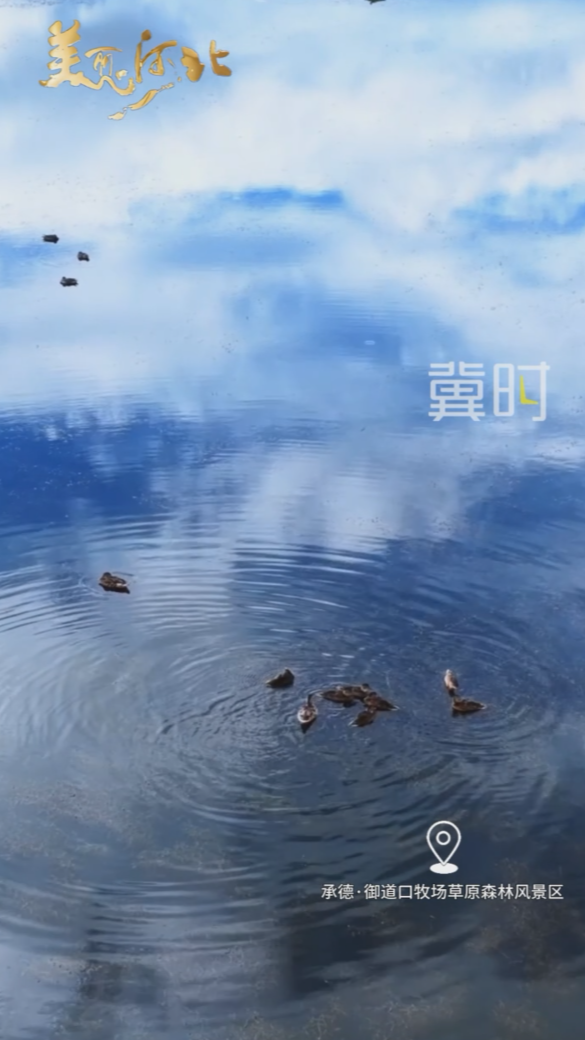 2026年7月20日，早安！新的一周如期而至，收起慵懒，重整状态，带着饱满斗志向前出发，愿我们全力以赴，步步生辉，不负好时光！