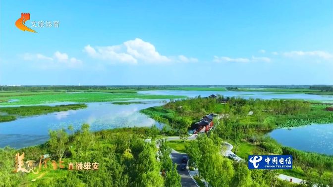 美丽河北慢直播丨直播雄安 2026.07.24 正午