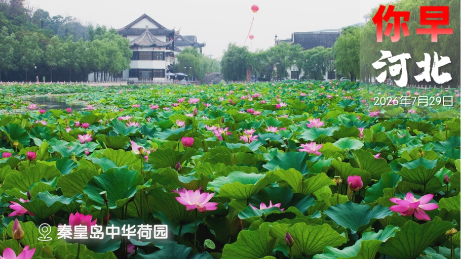 你早，河北｜迟到50年的全家福；个人所得税重回第三大税种；你的车，到底谁说了算；巴基斯坦防务魅力横扫海湾