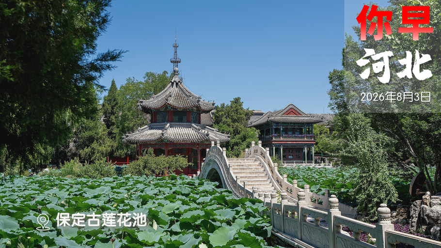 你早，河北｜“六霸”一个都不放过；河北北部有大到暴雨；电车开五年还剩多少续航；高市很高冷，俩月没有电话外交