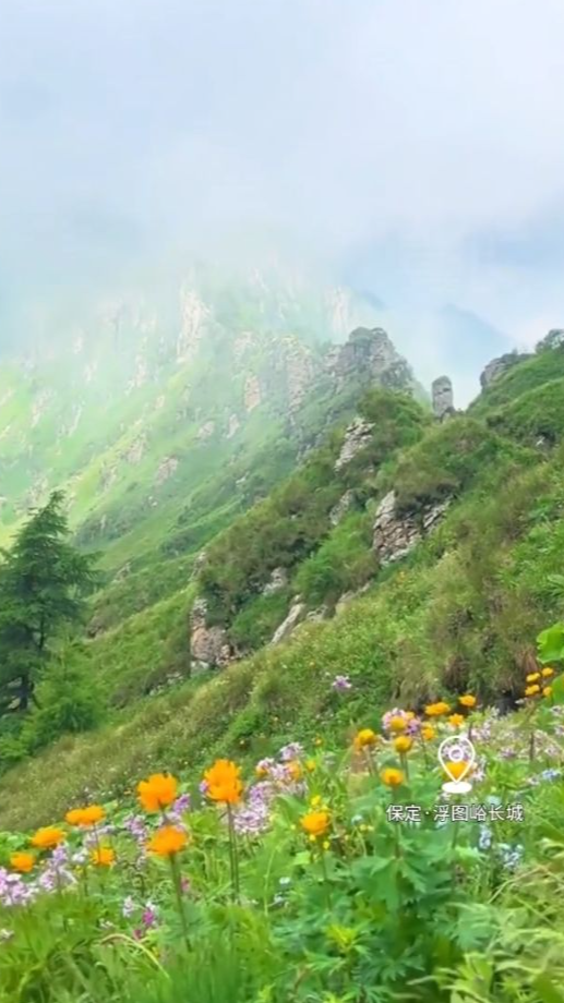 2026年8月6日，早安！暑热漫漫，寻一处清凉，宁静松弛，愿四季清风常驻心底，万事万物平和顺遂！