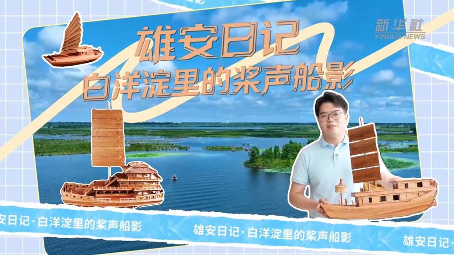 雄安日记丨白洋淀里的桨声船影
