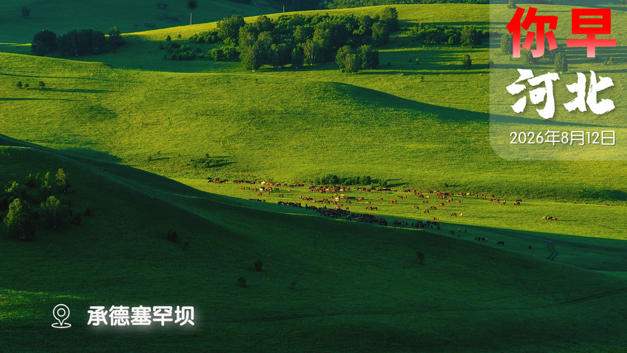 你早，河北｜“白海豚”为何千里奔袭华北；去邢台过七夕；茅台镇“大师”集体“卸甲”；特朗普“瞒天过海”躲暗杀