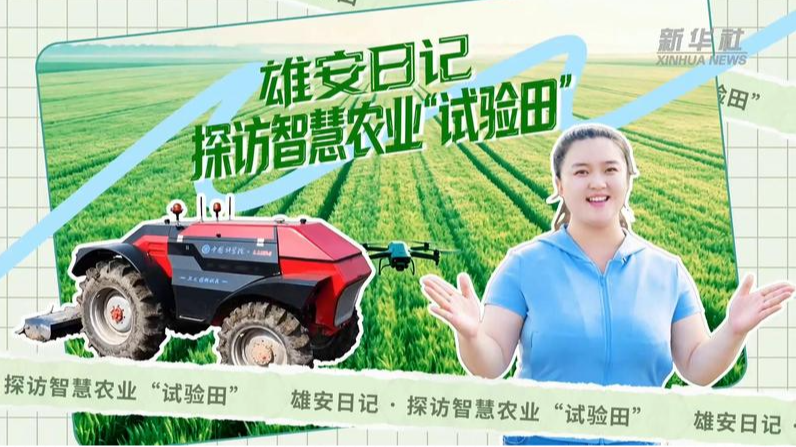 雄安日记丨探访智慧农业“试验田”