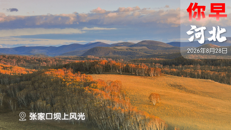 你早，河北｜石家庄市花有“编制”了；吉隆泥石流为何破坏性大；谁在为“巨婴”买单；他们不再对特朗普“低头”