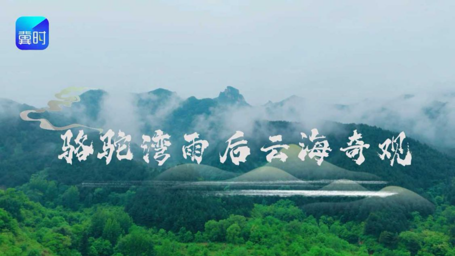 当晨雾漫过千山万壑，一场壮阔云海缓缓铺展开来，云漫千山，风过太行，人间皆安。#媒体原创 #云海 #这么近那么美周末到河北