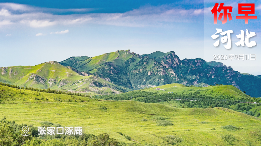 你早，河北｜一次性讲透隐翅虫；这三天，廊坊说了“算”；扎哈罗娃5分钟痛斥日本；全球老人比小孩多了